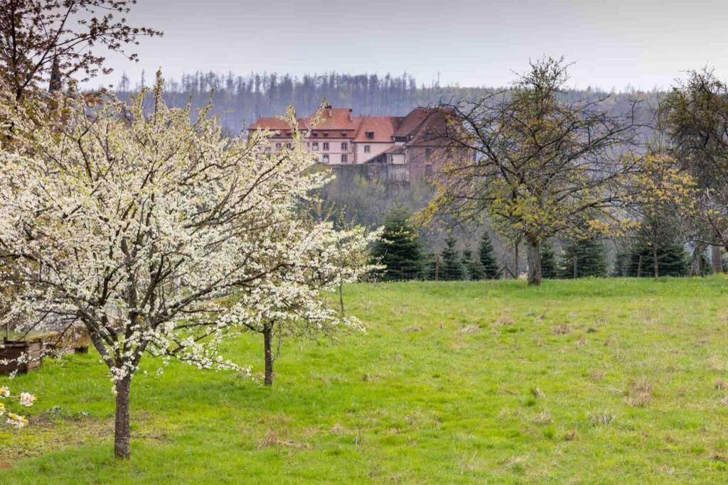 Maison Privilege Nature A La Petite Pierre Екстериор снимка